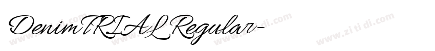 DenimTRIAL Regular字体转换